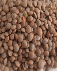 Whole Red Lentils