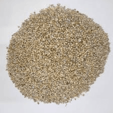 Pearl Millet