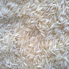 Old Raw Rice N